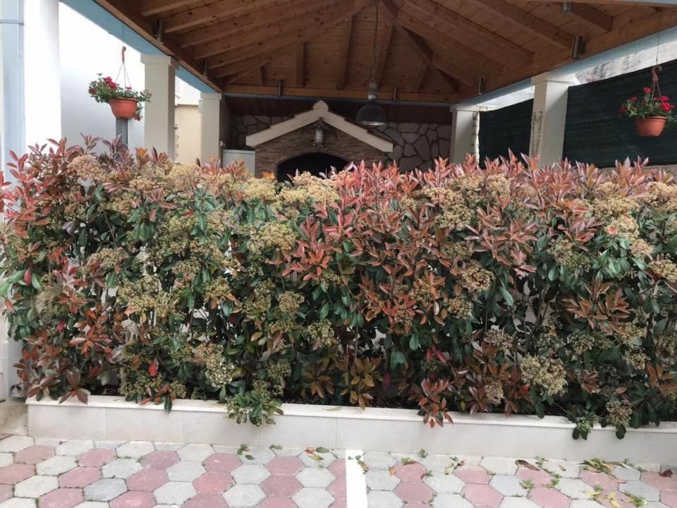 Apartmani Mane Trogir Ngoại thất bức ảnh