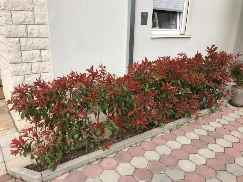 Apartmani Mane Trogir Ngoại thất bức ảnh